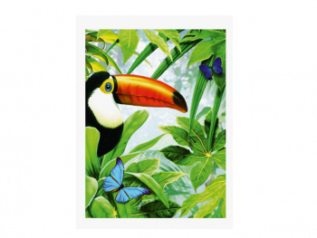 Картина по номерам арт. RAS20676 Тукан 20*30 в кор.