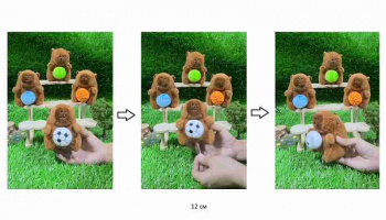 им Капибара арт. 25311-3 Крутит мяч в ассортименте брелок 12 см в пак.)