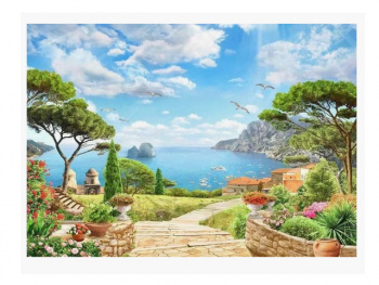 Картина по номерам арт. RA73980 Тропинка к морю 40*50 в кор.